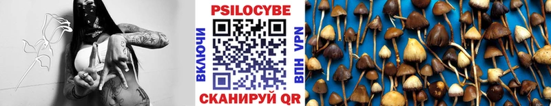 Галлюциногенные грибы мухоморы  где продают   Бежецк 